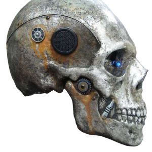 Skull PNG image