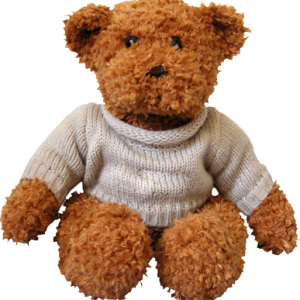Teddy bear PNG