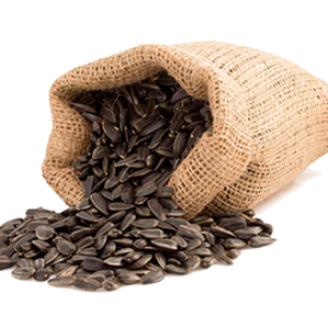 Sunflower seeds PNG