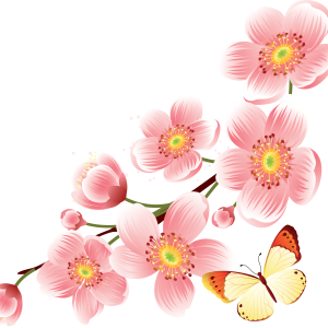 Sakura PNG