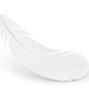 Feather PNG