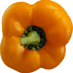 Bell pepper PNG