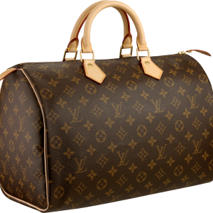 Louis Vuitton Women bag PNG image