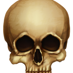 Skull PNG