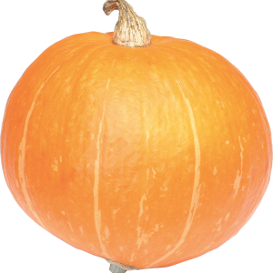 Pumpkin PNG image