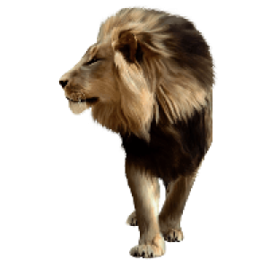 Lion PNG