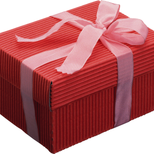 Gift box PNG