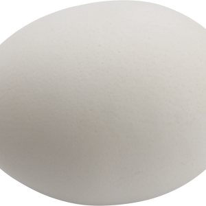 Eggs PNG