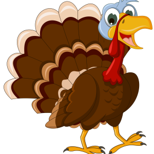 Turkey bird PNG