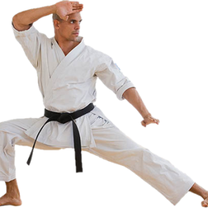 Karate PNG