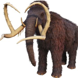 Mammoth PNG