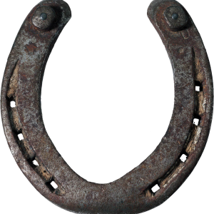 Horseshoe PNG