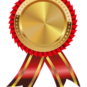 Gold medal PNG