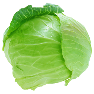 Cabbage PNG image