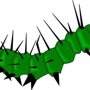 Caterpillar PNG