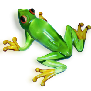 Green frog PNG