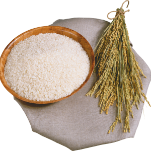 Rice PNG