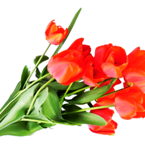 Bouquet flowers PNG