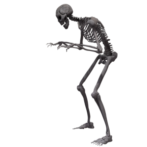 Skeleton PNG