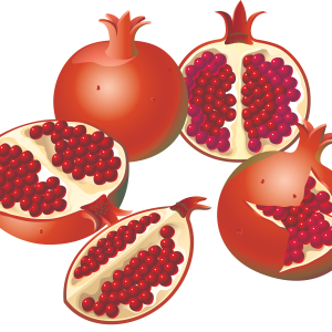 Pomegranate PNG