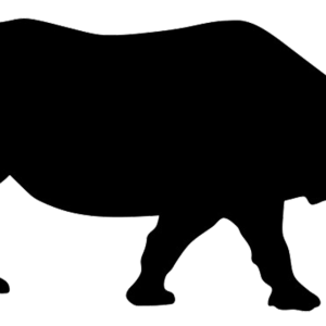 Rhino PNG