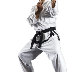Karate PNG