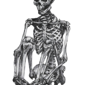 Skeleton PNG