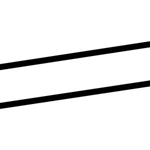 Bone PNG