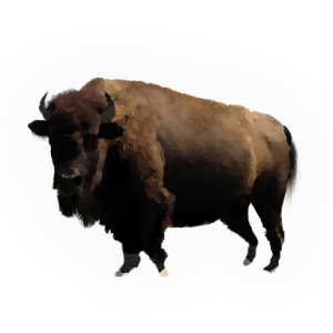 Bison PNG