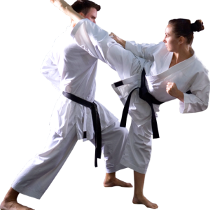 Karate PNG