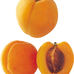 Apricot PNG