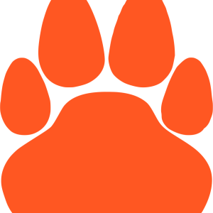 Paw PNG
