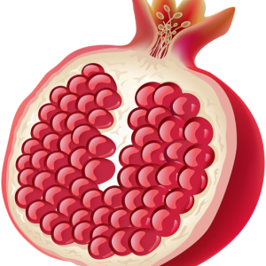 Pomegranate PNG