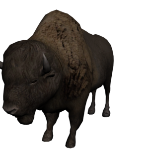 Bison PNG