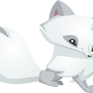 Arctic fox PNG