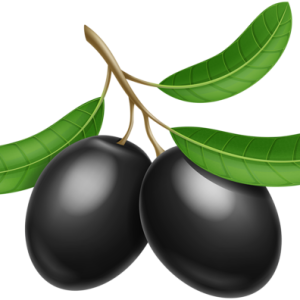 Olives PNG