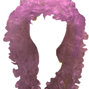 Hair wig PNG