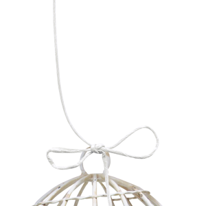 Cage bird PNG