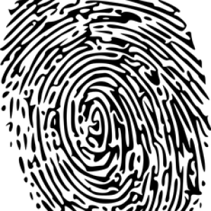 Fingerprint PNG