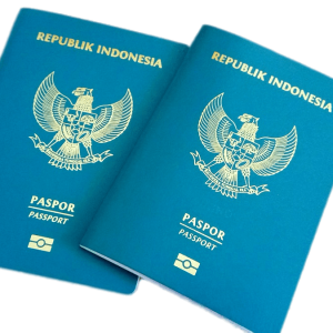 Passport PNG