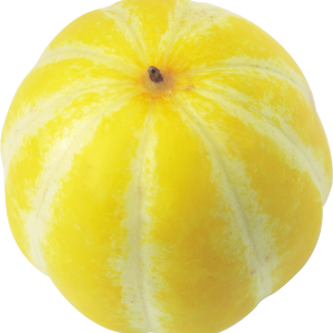 Pumpkin PNG image