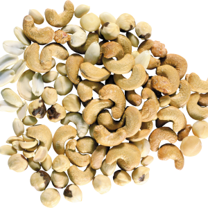 Cashew nut PNG