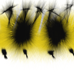 Caterpillar PNG