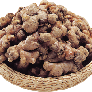 Ginger PNG