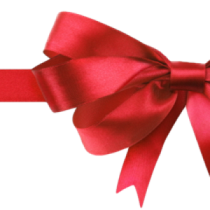 Bow PNG image