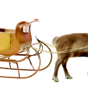 Santa sleigh PNG