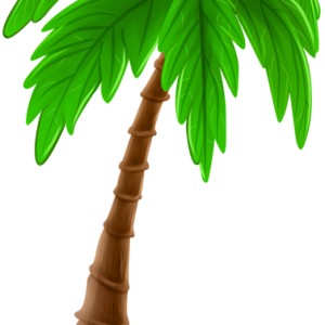 Palm tree PNG
