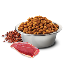 Dog food PNG