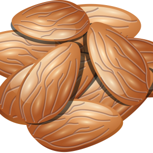 Almonds PNG image, almond PNG