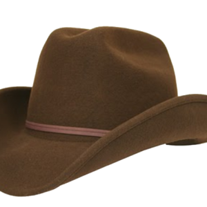 Cowboy hat PNG